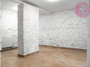 Pronájem obchodního prostoru, Ostrava, Hladnovská, 250 m2