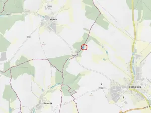 Prodej lesa, Česká Bělá, 2647 m2