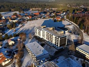 Pronájem bytu 1+1, Grafenau, Německo, 38 m2