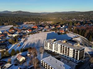 Pronájem bytu 1+1, Grafenau, Německo, 38 m2