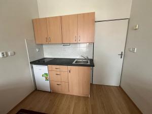 Pronájem bytu 1+kk, Hradec Králové, Dukelská třída, 20 m2