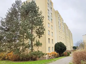 Prodej bytu 2+kk, Ústí nad Labem, Žežická, 48 m2