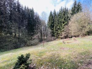 Prodej chalupy, Rychnov u Jablonce nad Nisou, 160 m2