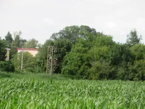 Dražba pole, Tovačov, 903 m2