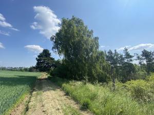 Prodej lesa, Slavičky - Pozďátky, 6551 m2