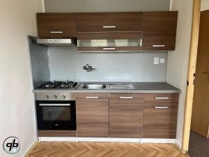 Pronájem bytu 1+1, Frýdek-Místek, Ostravská, 30 m2