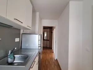 Pronájem bytu 2+1, Praha - Smíchov, Podbělohorská, 41 m2