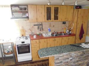 Prodej rodinného domu, Ostrava - Vítkovice, Mírová, 1391 m2