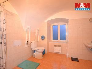 Pronájem bytu 1+kk, Vlčice, 50 m2