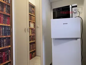 Pronájem bytu 1+kk, Brno, Rakovecká, 22 m2