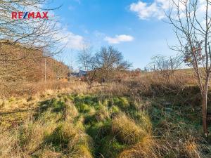 Prodej chaty, Plzeň, 35 m2