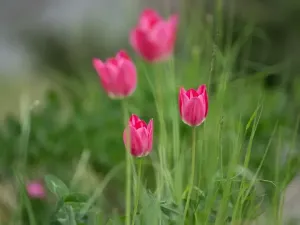 Prodej rodinného domu, Kladno, 28. října, 163 m2