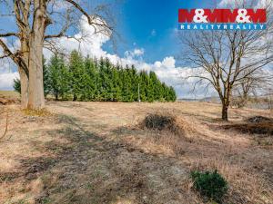 Prodej pozemku pro bydlení, Rokytnice v Orlických horách, 5453 m2