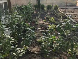 Prodej bytu 2+kk, Nesebar, Bulharsko, 56 m2