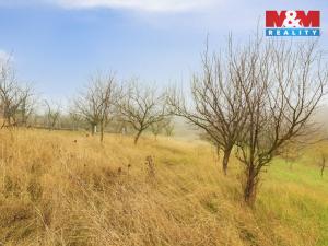 Prodej pole, Bukovany, 1791 m2