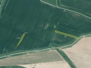 Prodej pole, Kluky, 10026 m2