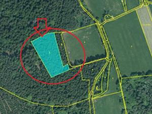 Prodej podílu lesa, Vrbice, 4173 m2