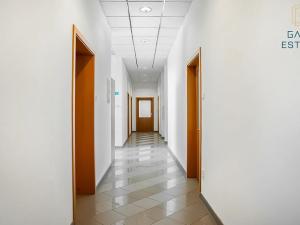 Pronájem výrobních prostor, Hrušky, Na aleji, 6941 m2