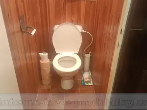 Pronájem pokoje, Praha - Zbraslav, Sulova, 21 m2