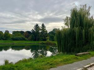 Pronájem bytu 2+kk, Praha - Břevnov, Radimova, 62 m2