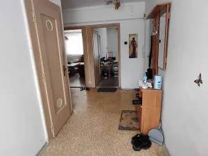 Prodej bytu 3+1, Ostrov, Seifertova, 60 m2