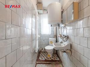 Prodej rodinného domu, Radnice, Dědická, 175 m2