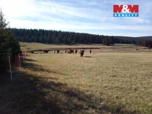 Prodej louky, Kořenov - Jizerka, 18695 m2