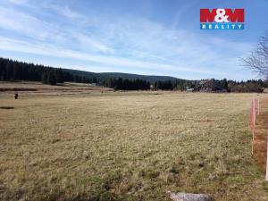 Prodej louky, Kořenov - Jizerka, 18695 m2