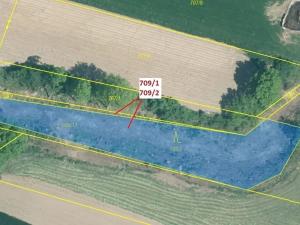 Dražba lesa, Osek, 1823 m2