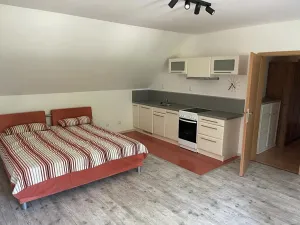 Pronájem bytu 1+kk, Praha, Květnového povstání, 60 m2