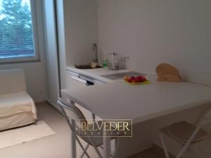 Pronájem bytu 1+kk, Teplice, Petra Jilemnického, 26 m2