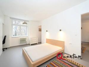 Pronájem bytu 2+kk, Praha - Holešovice, U průhonu, 54 m2