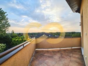 Prodej atypického bytu, Planá nad Lužnicí, Harrachova, 150 m2