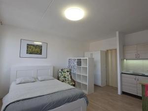 Prodej bytu 1+kk, Brno, Bořetická, 33 m2