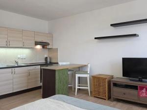 Prodej bytu 1+kk, Brno, Bořetická, 33 m2