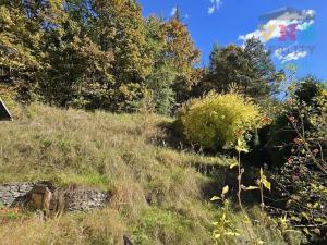 Prodej chaty, Přemyslovice, 80 m2