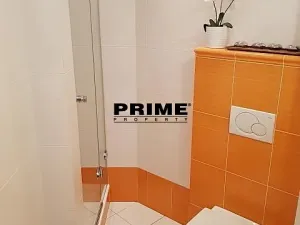 Pronájem bytu 1+kk, Praha - Staré Město, Martinská, 32 m2