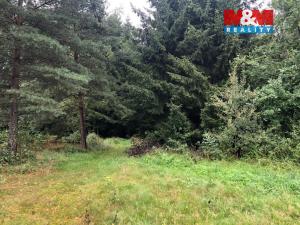 Prodej rybníku, Dvory nad Lužnicí, 8649 m2