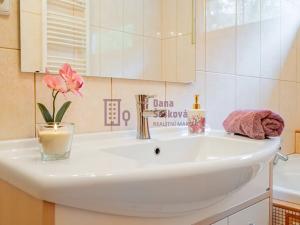 Prodej rodinného domu, Dačice, 313 m2