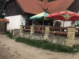 Dražba rodinného domu, Býšť, 1618 m2