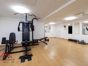 Pronájem bytu 1+kk, Ostrava, Cihelní, 17 m2