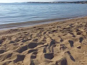 Prodej vily, Povljana, Chorvatsko, 318 m2