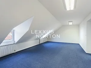 Prodej rodinného domu, Roudnice nad Labem, Dr. Slavíka, 300 m2