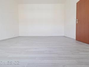 Pronájem bytu 2+kk, Praha - Michle, Hanusova, 36 m2