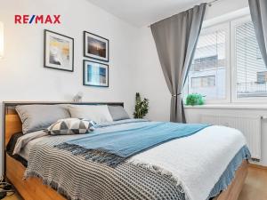 Prodej bytu 2+kk, Brno, Čeňka Růžičky, 58 m2