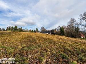 Prodej pozemku pro bydlení, Orlické Záhoří, 4018 m2