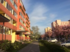 Pronájem bytu 2+1, Kroměříž, Spáčilova, 54 m2