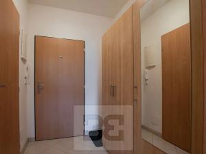 Pronájem bytu 1+kk, Praha - Vysočany, Jana Přibíka, 27 m2