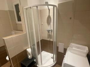 Pronájem bytu 1+kk, Praha - Žižkov, Jana Želivského, 27 m2