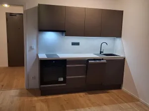 Pronájem bytu 1+kk, Brno, Bratislavská, 32 m2